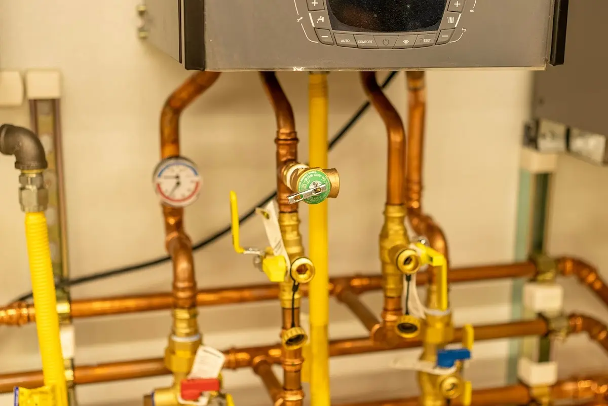 Licensed technician providing Sump Pump Repair for a homeowner in Greendale